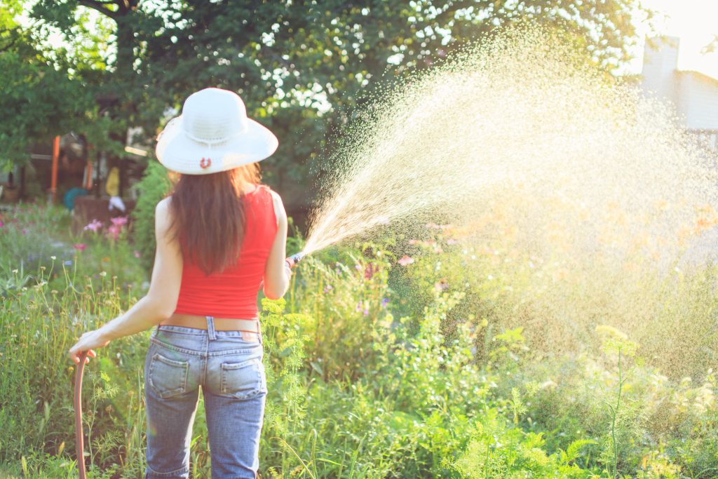 Roundup in the Garden